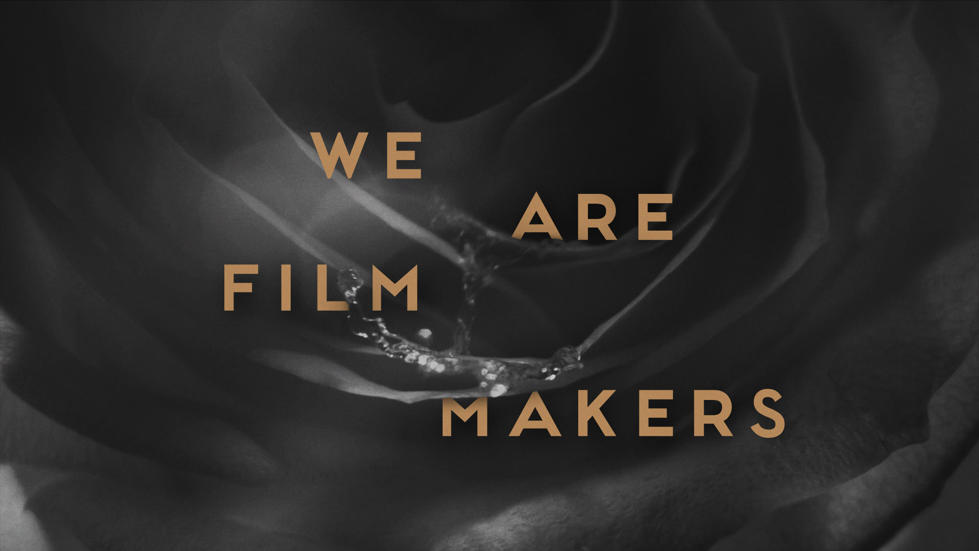 THE MARMALADE Visual Engineering