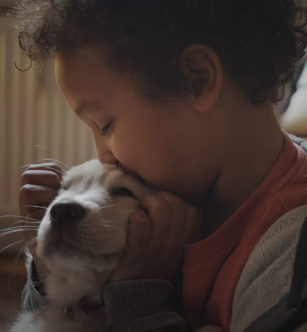Purina