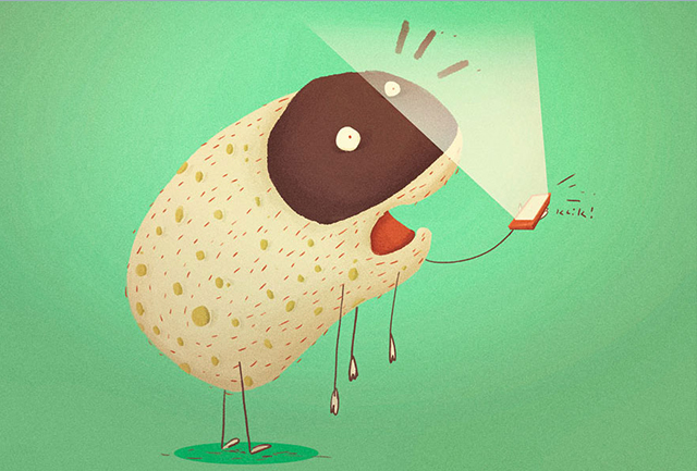 Sheep shocked with mobile phone ring